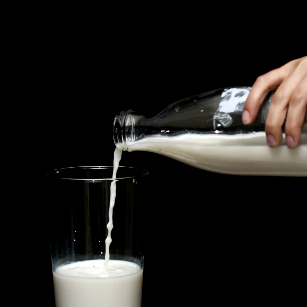 Buffalo Milk