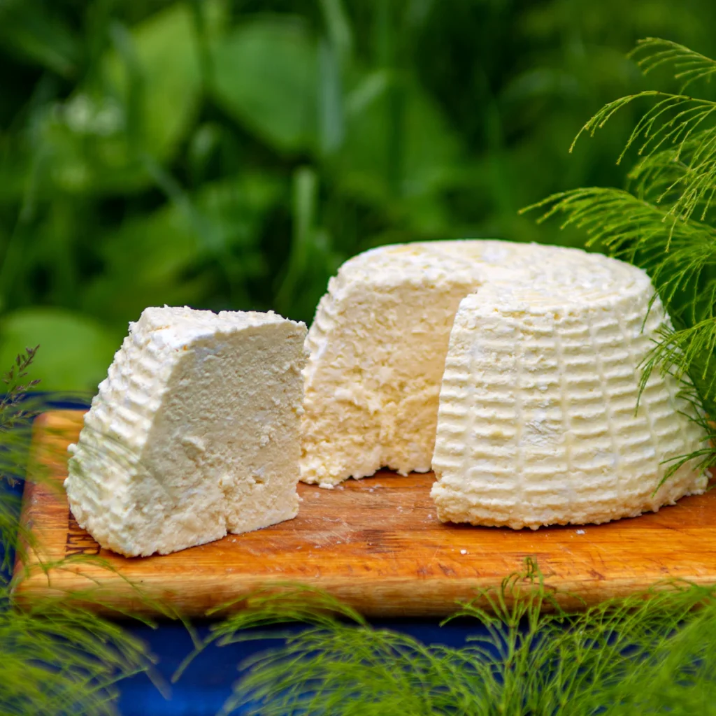 Paneer
